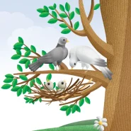 عکس صفحات کتاب Book The Beak