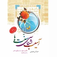 خرید کتاب آسیب شناسی سنت ها