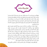 عکس صفحات کتاب پیامبر هزار و یک درخت – (مجموعه پیامبران اولوالعزم 1)