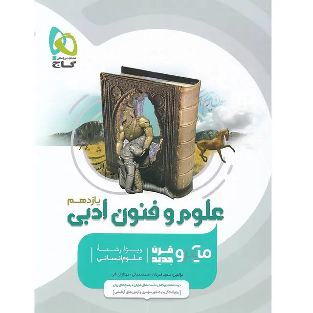 خرید کتاب علوم و فنون ادبی یازدهم انسانی سری میکرو طبقه بندی